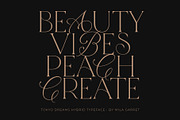 Tokyo Dreams Display Ligature Serif, a Serif Font by Mila Garret (Thumbnail 17 of 28)