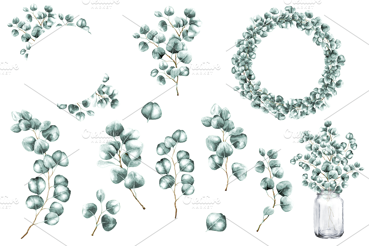 Eucalyptus Watercolor Illustrations, a Decorative Illustration by DioFlow (Photo 4 of 11)