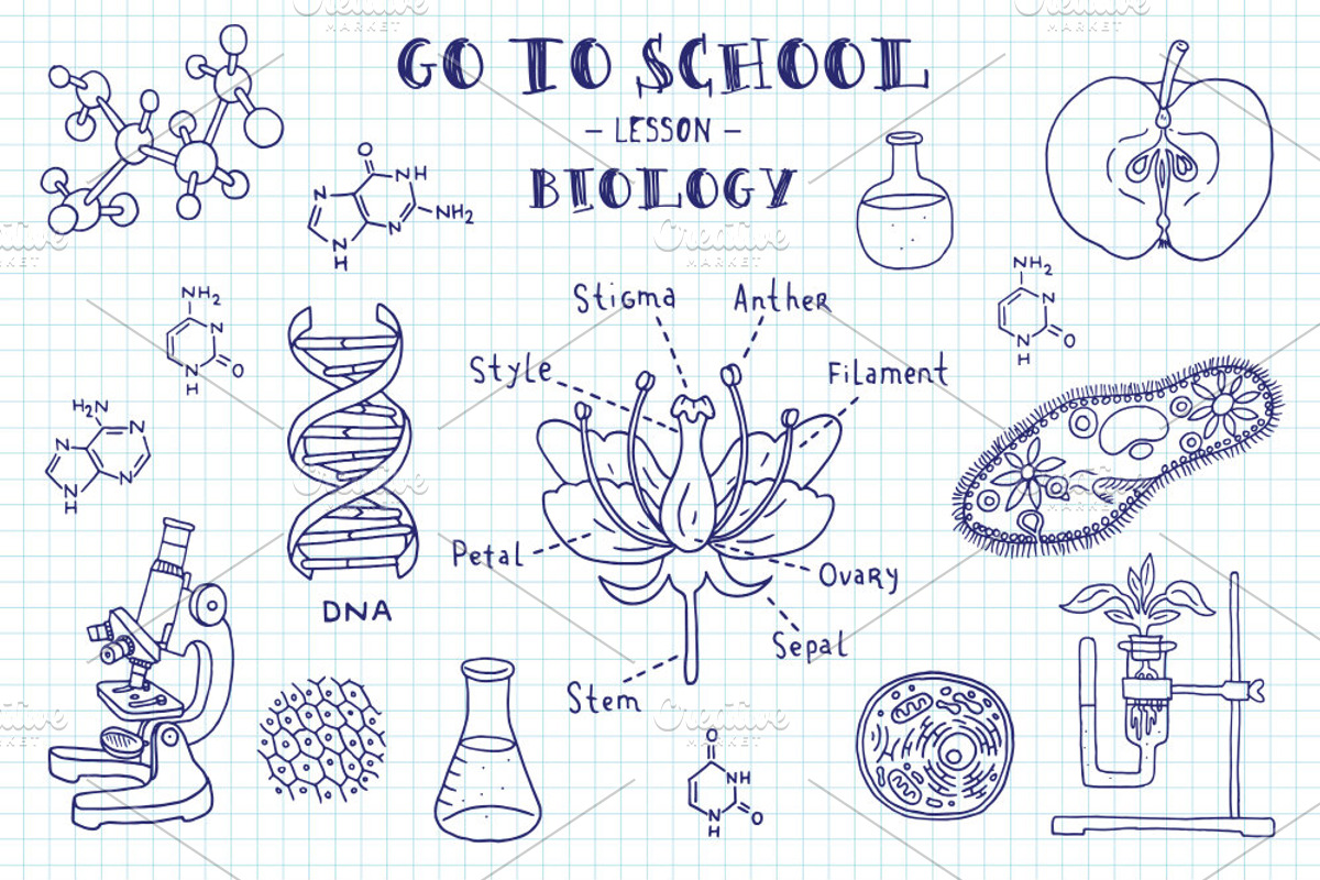 Go to school. Doodle set, an Education Illustration by WINS Doodle shop (Photo 2 of 10)