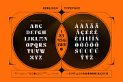 Berlisch, a Serif Font by Drizy (Thumbnail 9 of 9)