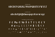Demerique - Serif Typeface Font, a Serif Font by Rishsketch (Thumbnail 13 of 15)
