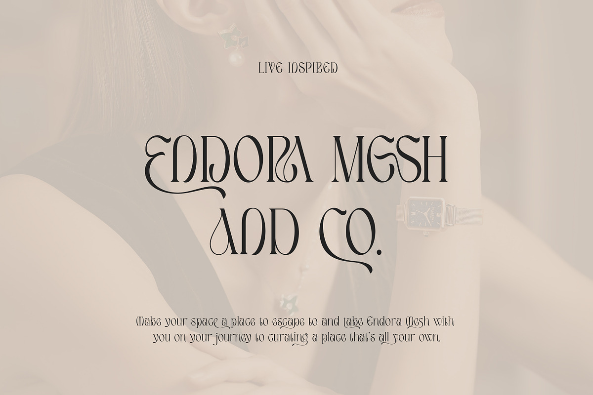 Caferinam Deco & Elegant Serif, a Serif Font by Cruzine (Photo 2 of 10)