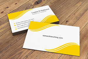 Professional | Business Card