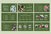 Business Plan Presentation, a Presentation Template by Hamocreate (Thumbnail 3 of 8)