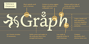 NCT Granite, a Serif Font by NCT (Thumbnail 6 of 10)