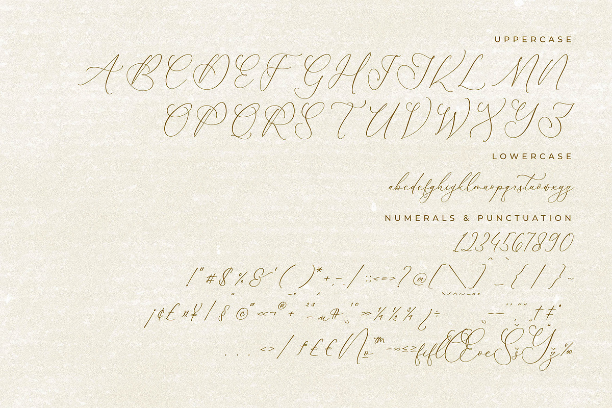 Balleryna Charlote Calligraphy Font, a Script Font by Storytype Studio (Photo 13 of 15)