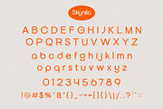 Skynila – Modern Display Sans Serif, a Sans Serif Font by BrandSemut (Thumbnail 10 of 10)