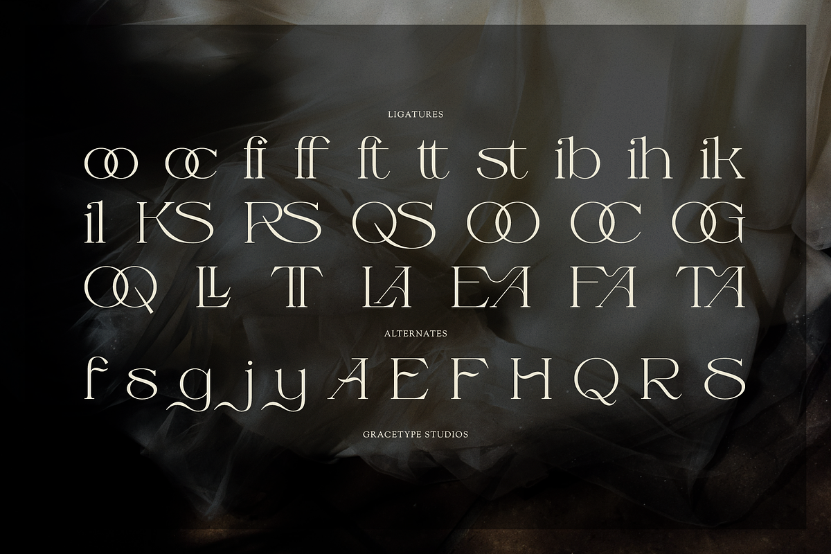 Fauden | Modern Display Serif, a Serif Font by gracetype_studio (Photo 12 of 12)