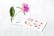 Watercolor of Blooming Magnolia, a Decorative Illustration by Kotkoa (Thumbnail 3 of 5)