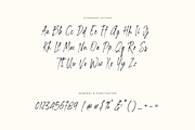Gardiom, a Handwritten Font by Gatype (Thumbnail 12 of 15)