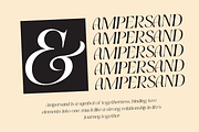 Ectogenic, a Serif Font by CreateBigSupply (Thumbnail 2 of 8)