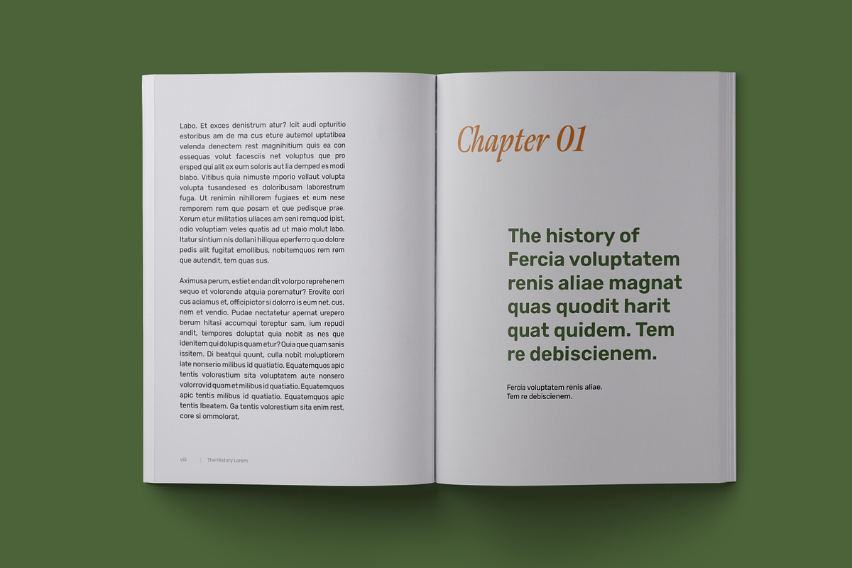 History Book Print Template, a Stationery Template by Meknya (Photo 2 of 14)