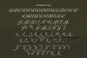 LT Rogile - Modern Serif Typeface, a Serif Font by Luminotype (Thumbnail 19 of 20)