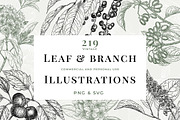 Vintage Leaf & Branch Illustrations, a Decorative Illustration by Century Library (Thumbnail 1 of 9)