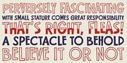 Flea Circus, a Sans Serif Font by One Eyed Squid (Thumbnail 5 of 6)