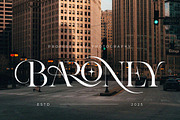 Aroney Family | 5 Style Fonts, a Serif Font by IM Studio (Thumbnail 6 of 12)