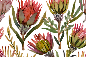 Watercolor Fynbos Flowers