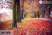Autumn Lightroom Preset, an Action Add-On by The Bell Sisters (Thumbnail 7 of 7)