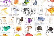 Watercolor Fungi A-Z Clipart, an Illustration by DigitalArtsi (Thumbnail 1 of 4)