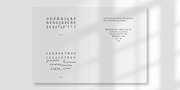 De Aetna Regular Pro, a Serif Font by Rudolf Horaczek (Thumbnail 4 of 7)