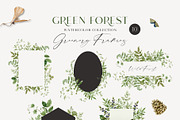 GREEN FOREST watercolor collection, an Object Illustration by long summer (Thumbnail 9 of 17)