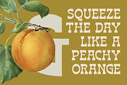 Bring Horse Western Slab Serif, a Slab Serif Font by timelesstype.co (Thumbnail 9 of 20)