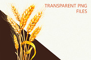 Wheat Watercolor Clipart, an Illustration by Anny Sketches (Thumbnail 6 of 7)