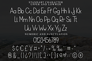 Almond, a Sans Serif Font by FreshTypeINK (Thumbnail 7 of 8)