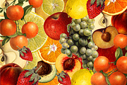 Vintage Fruit Illustrations, a Food Illustration by Catty Studio (Thumbnail 2 of 10)