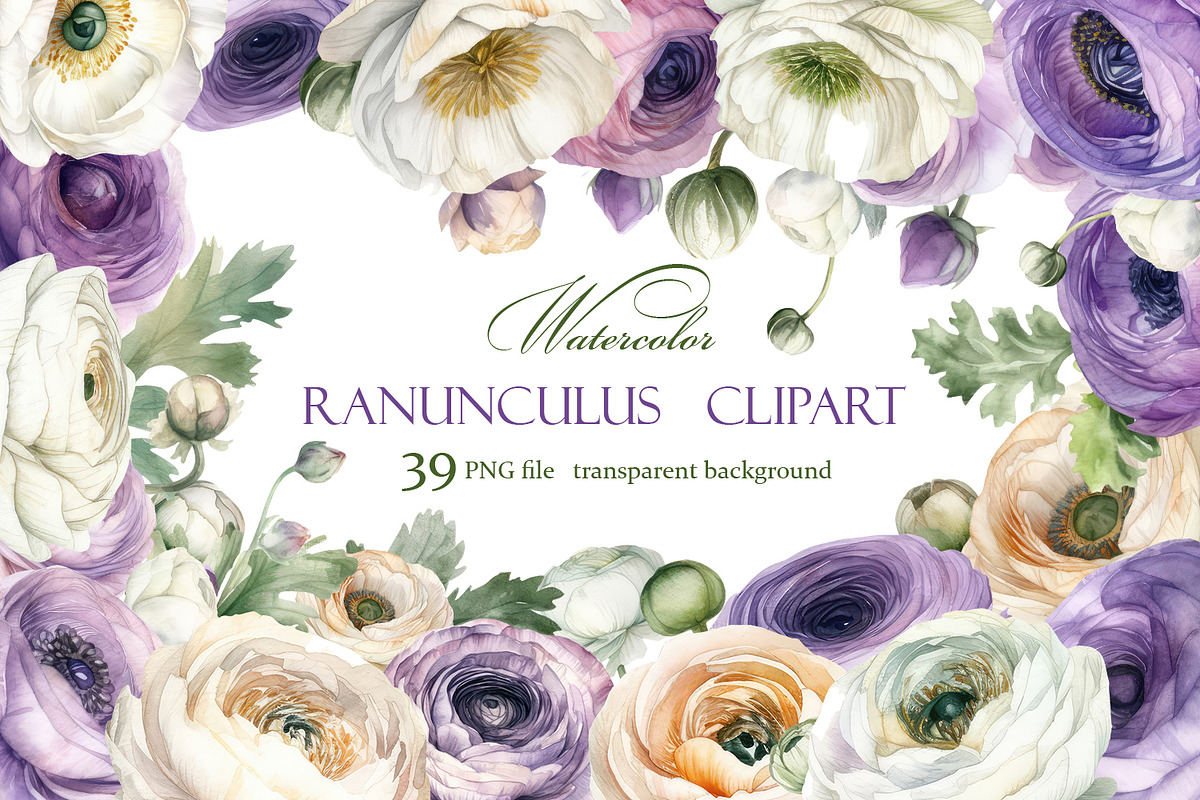 Ranunculus clipart, Watercolor flora, a Decorative Illustration by ElenazlataArt (Photo 1 of 6)