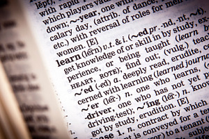 Learning, a School & Education Photo by THP Creative