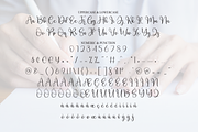 Signature | Script Font, a Handwritten Font by Scratchones (Thumbnail 7 of 8)