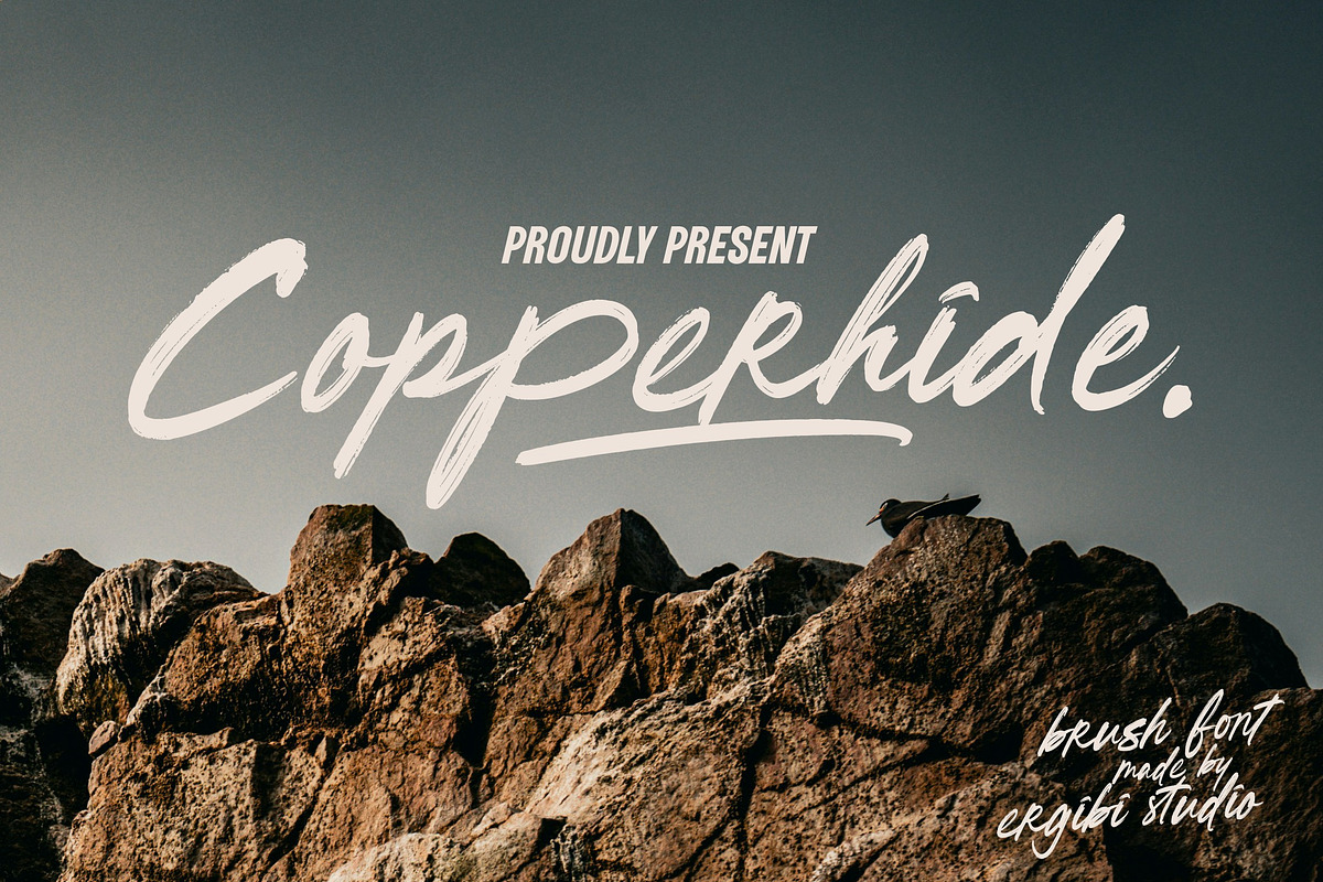 Copperhide - Brush Font, a Handwritten Font by ErgibiStudio (Photo 1 of 10)