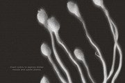 Botanical Traces: Blurred Floral PNG, an Object Graphic by Dina Mae (Thumbnail 10 of 14)