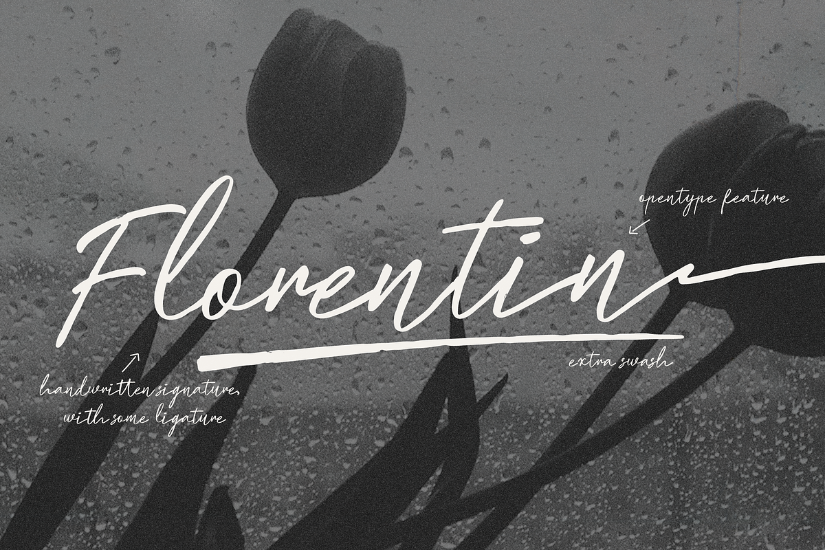 Sastra Kinanthi | Handwritten Script, a Script Font by Denustudios (Photo 8 of 15)