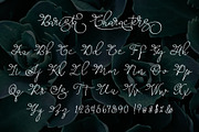 Barista Script, a Script Font by Aldedesign (Thumbnail 5 of 7)