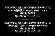 Sakem Elegance Serif Family (20 Font, a Font by Madjack.font (Thumbnail 20 of 20)