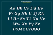 XXII Elissa, a Serif Font by Doubletwo Studios (Thumbnail 14 of 25)