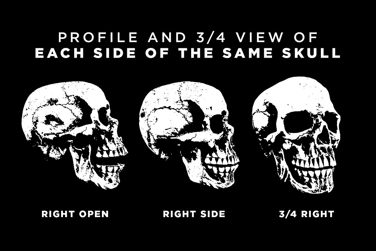 SKULLS, an Illustration by 1126artstudio (Photo 4 of 4)