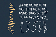 Gildora - Modern Elegant Stylish, a Serif Font by Qweera Studio (Thumbnail 9 of 12)