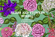 Flowers Illustration Bundle, a Decorative Illustration by Schumacher Shop (Thumbnail 17 of 18)