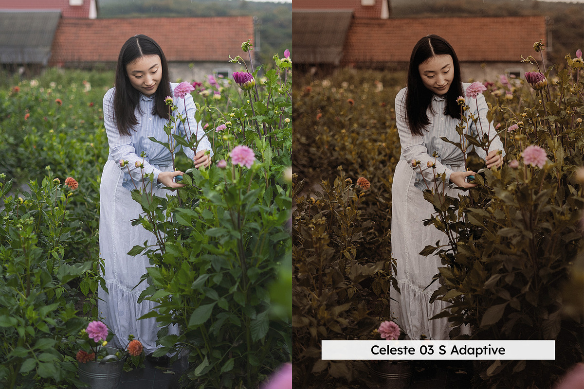 20 Memoirs Lightroom Presets & LUTs, a Preset Add-On by SparkleStock (Photo 13 of 17)