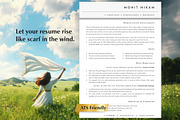 Director Resume Template, CV, a Resume Template by Career Canvas (Thumbnail 1 of 11)