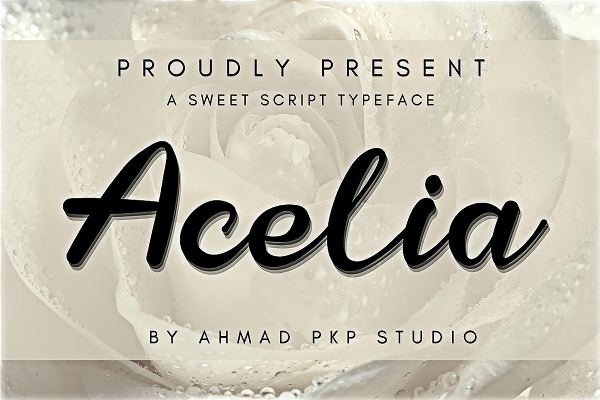 Acelia Font Script, a Script Font by Ahmad Pkp Studio (Photo 1 of 5)