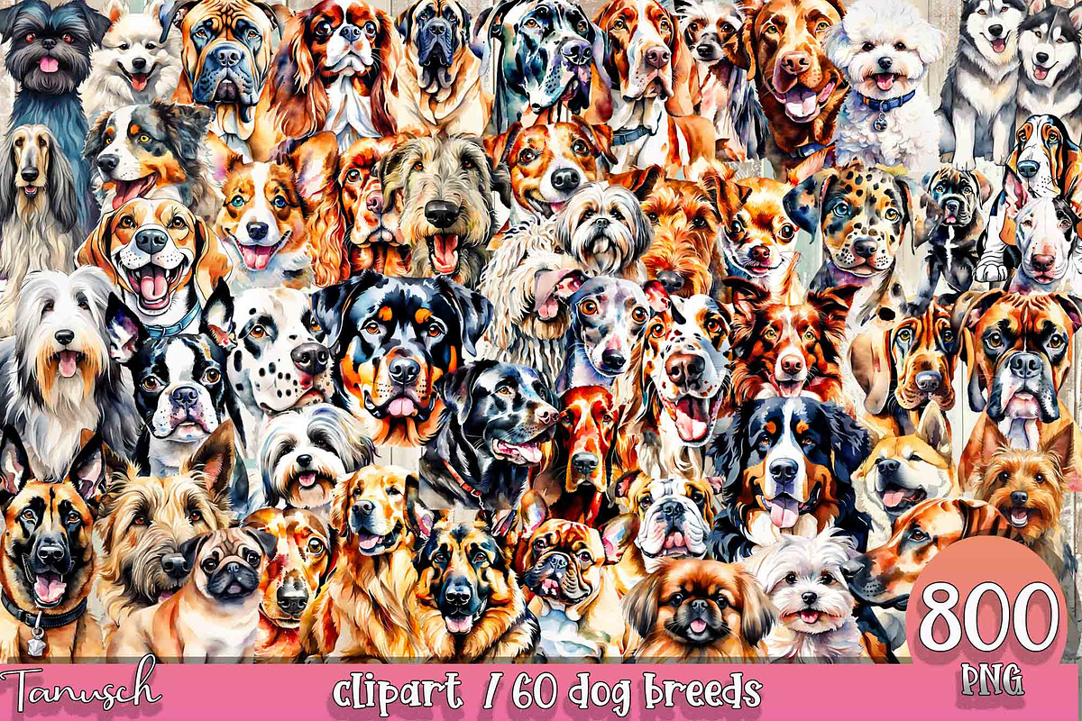 watercolor dog breeds bundle, an Animal Illustration by TanuschArts (Photo 1 of 7)