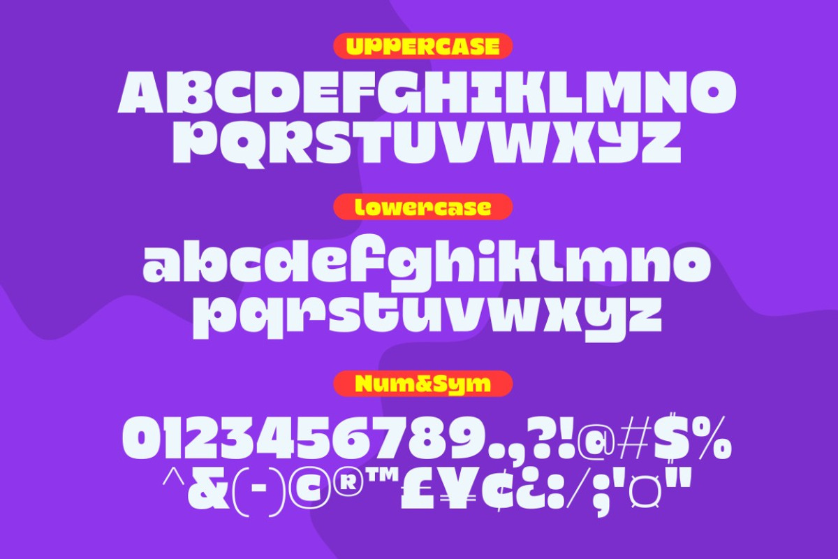 Slofyn, a Sans Serif Font by graphicook (Photo 3 of 10)