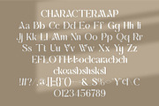 Eravo || Modern Classy Serif Font, a Serif Font by Ermedia Studio (Thumbnail 10 of 10)