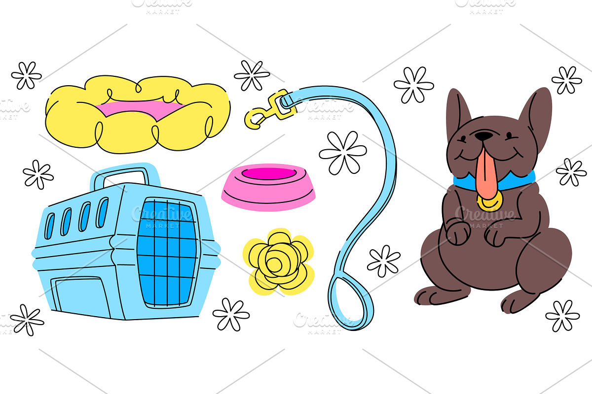 Pet supplies colorful vector, an Animal Illustration by art PVP - market