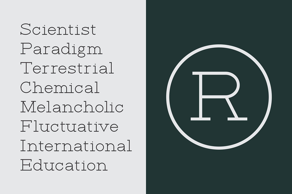 Rante Contact, a Slab Serif Font by takoliko (Photo 4 of 12)