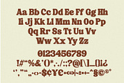 Silky Milky-Bold Retro Serif, a Serif Font by Violet Natural (Thumbnail 10 of 12)